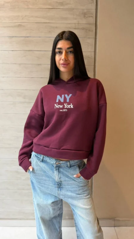 26/B22 - BUZO CAPUCHA "NEW YORK" - FRIZA